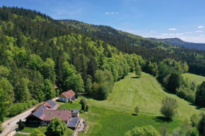 Altes Forsthaus Bodenmais Bodenmais